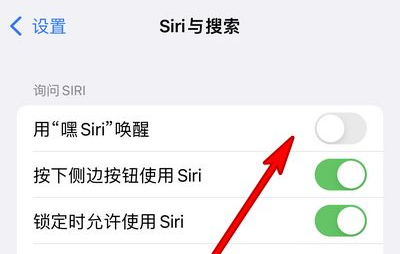 南丰苹果13维修分享iPhone 13怎么唤醒 Siri  